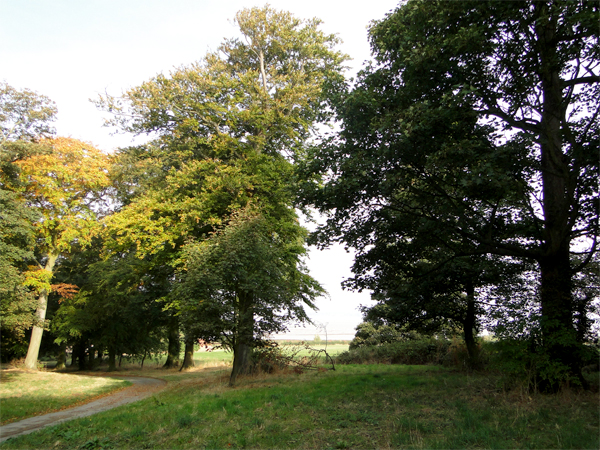 south-ferriby-countryside